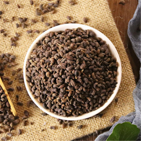 High quality 100% Natural Ligustri lucidi Fructus Nv Zhen Zi 女貞子 Chinese Herb