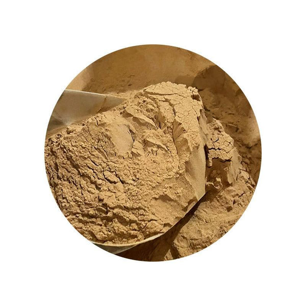 500g Chia Seed Extract 10:1 Powder High Potency Natural Supplement