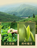 2025 Biluochun Green Tea Fresh Fragrant Mountain Grown Premium Loose Leaf