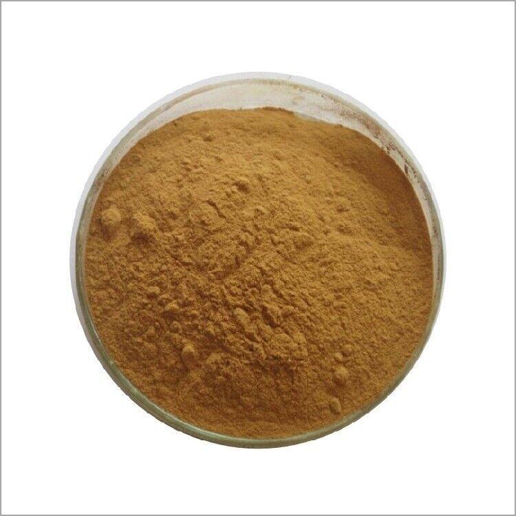 200g Organic Rosa Roxburghii Extract 10:1 Powder | Natural Antioxidant Main image