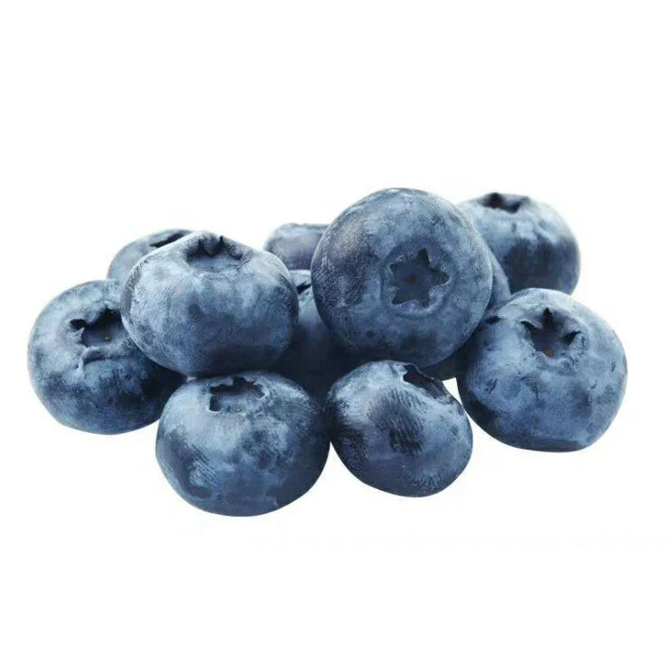 Blueberry Fruit Powder - 100% Pure Blueberry Juice Concentrate Powder