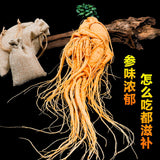 9-Year-Old Fresh Preserved Ginseng Root 1pc Large Size Changbai Mountain