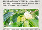 50 Grams Fresh Hainan Noni Fresh Fruit Dried 50g Morinda Citrifolia Herbal Tea