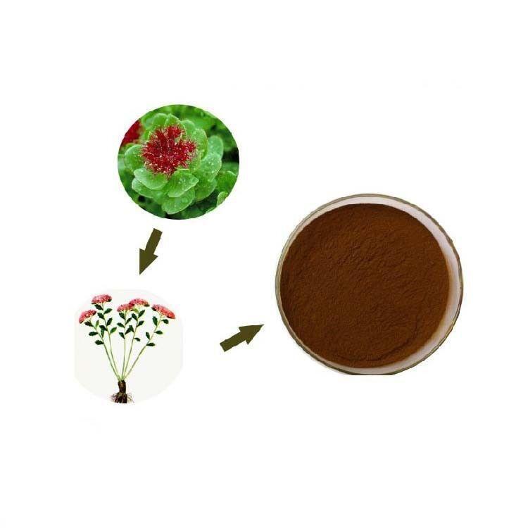 200g Boosts Energy & Vitality Rhodiola Rosea Root Extract Powder 3% Rosavins Main image