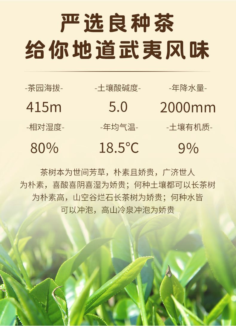 Wuyi Mountain Da Hong Pao Rou Gui Oolong Tea Spring Wuyi Rock Tea Loose Leaf