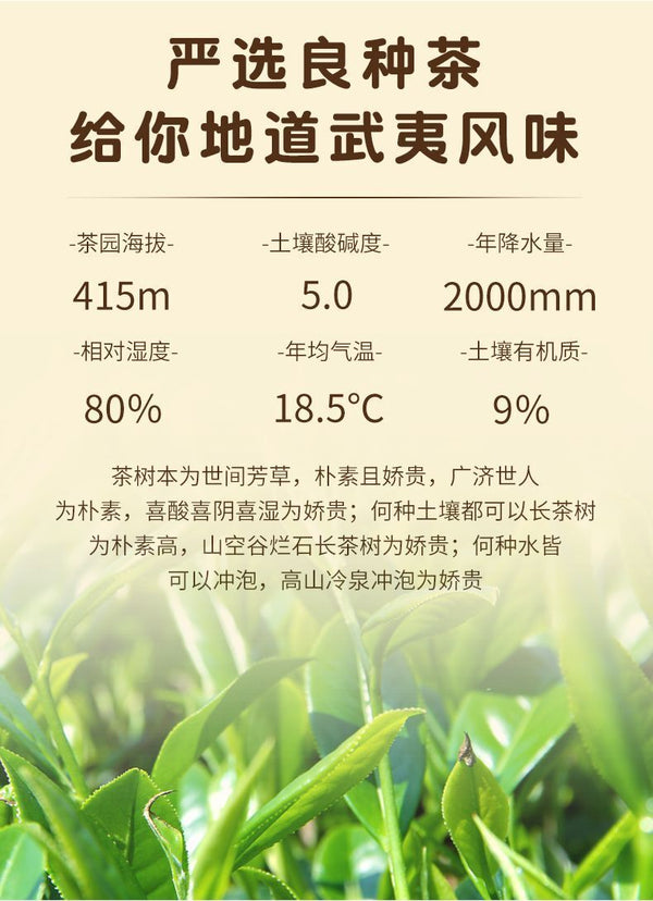 Wuyi Mountain Da Hong Pao Rou Gui Oolong Tea Spring Wuyi Rock Tea Loose Leaf