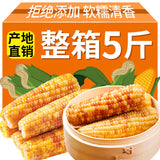 Xishuangbanna Sticky Corn – Vacuum-Packed Snack