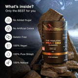 Biyode Pure Himalayan Shilajit Gummies mit Ashwagandha Gokshura und anderen