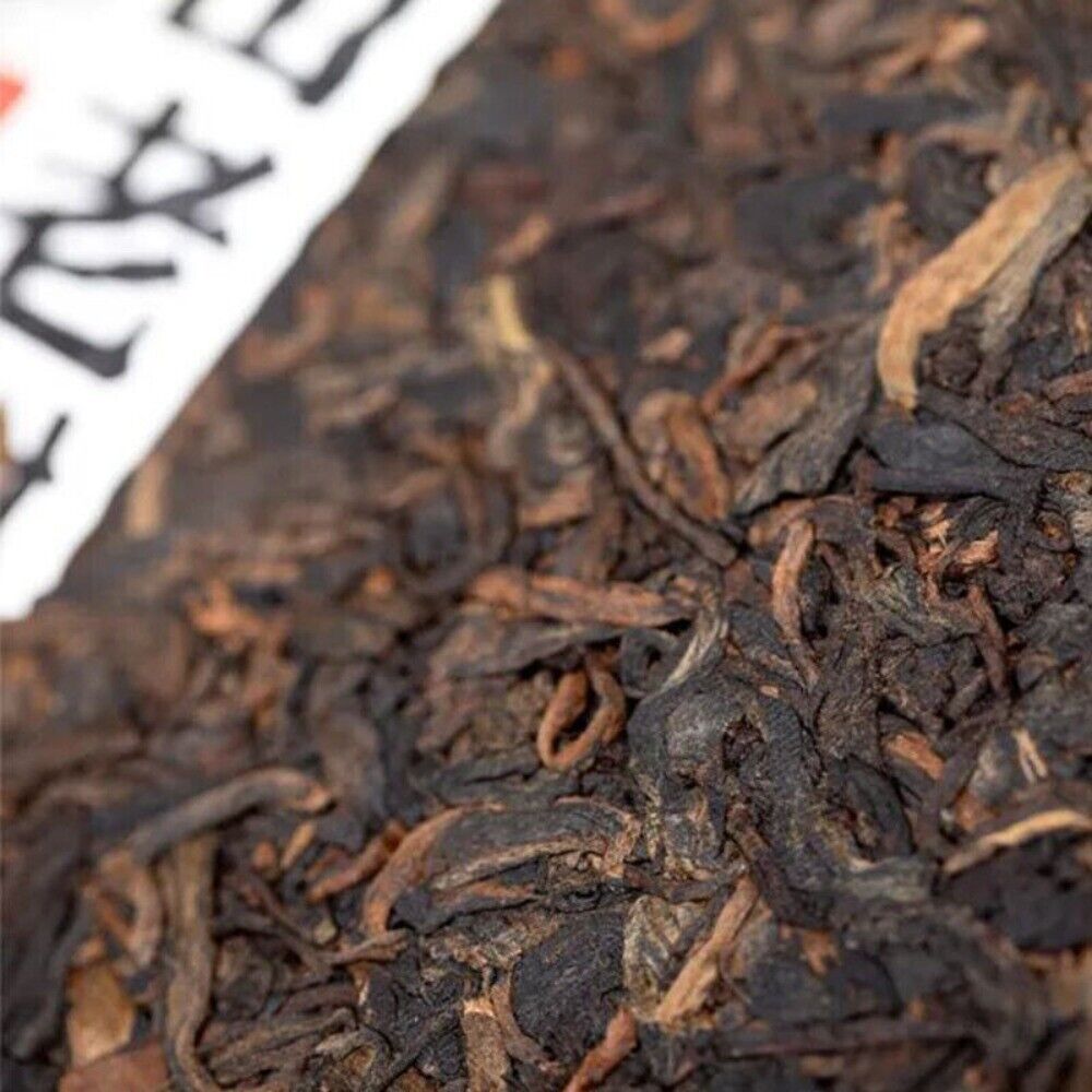2023 Haiwan Ripe Pu-erh 500g Batch 231 Remote Mountain Old Tree Secondary image