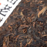 2023 Haiwan Ripe Pu-erh 500g Batch 231 Remote Mountain Old Tree