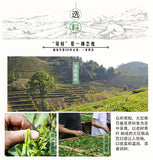 Chinese Tea New Spring Wuyi Dahongpao Charcoal Roasted Oolong Tea 170g