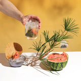 Blend 5g x 10 Bags Refreshing Drink Watermelon Oolong Tea Cold Brew Fruit Tea