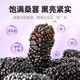 200g Dried Black Mulberries No Sand Premium Grade Sweet and Fragrant