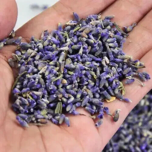 Lavender Flower Tea for Relieving Stress Chinese Herb Tea High Quality