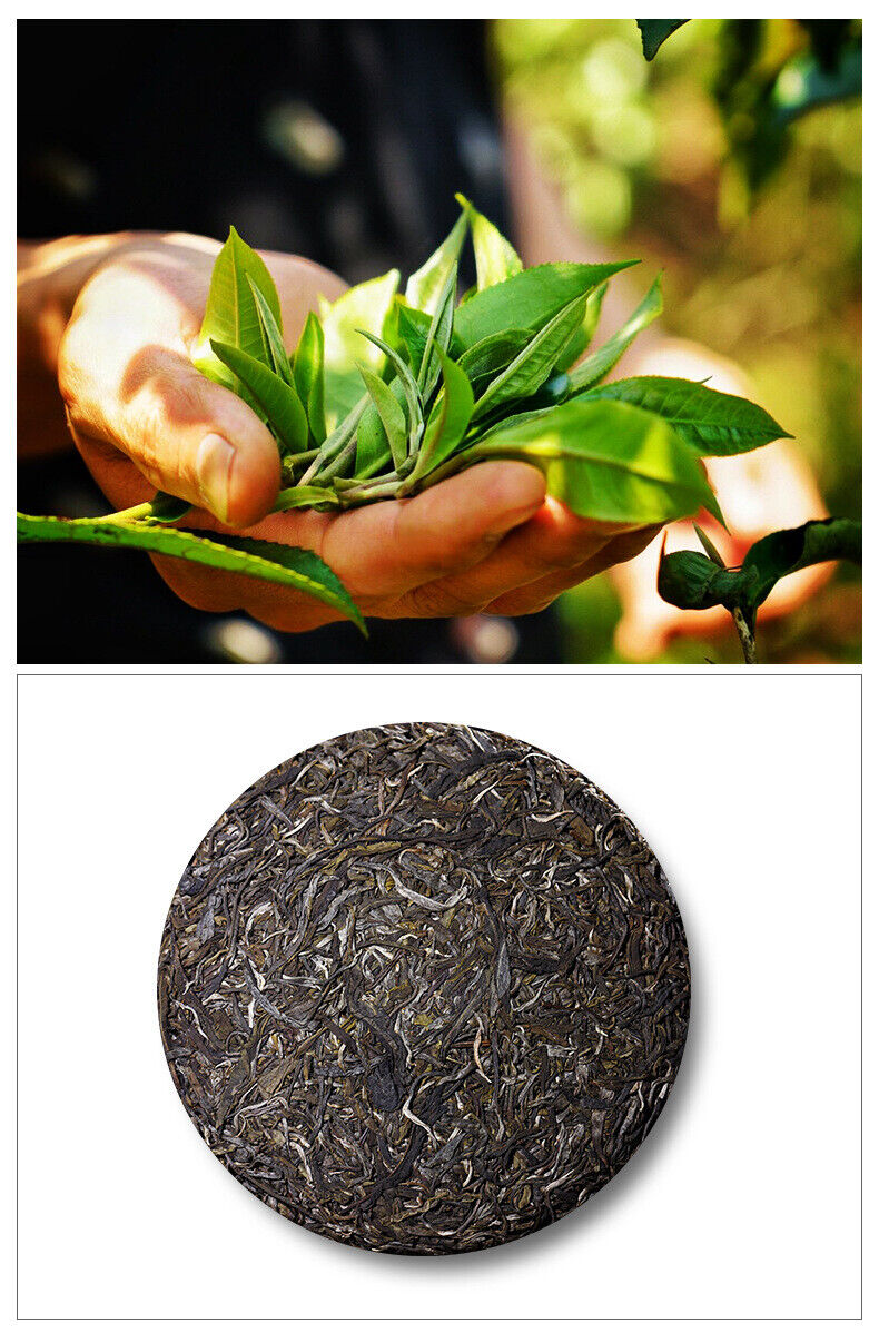 357g Raw Tea Cake Yunnan Pu'er Tea Cake 冰岛五寨地界纯料春茶