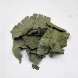 Organic Dried Folium Eucommia Eucommia Ulmoides Oliv Eucommia leaf Du Zhong Ye