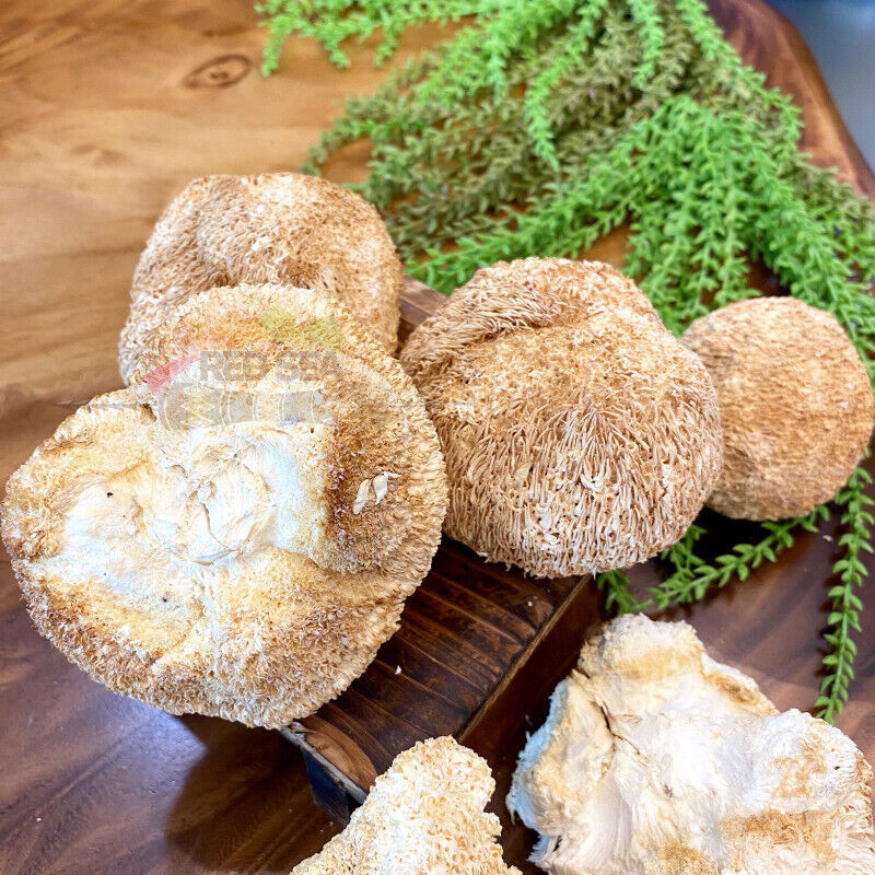 250g Hericium Erinsceus Mushroom Premium Lions Mane Mushroom Chinese Dried Goods