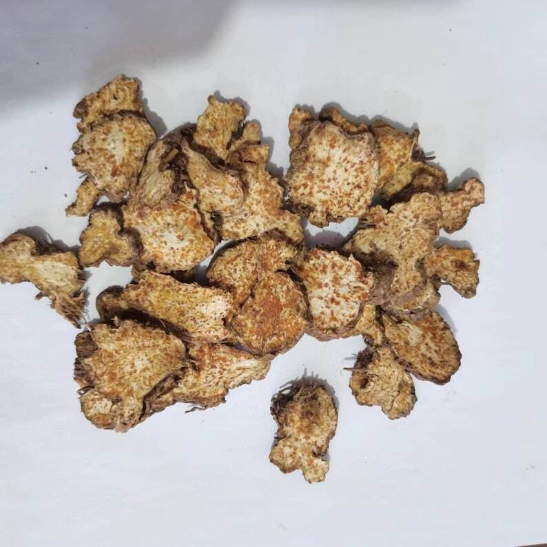 Wild Atractylodis Rhizoma, Rhizoma Atractylodis, Atractylodes Rhizome, Cang Zhu Main image