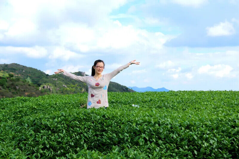 New Top Grade Tieguanyin Tea,Oolong,Tie Guan Yin Tea,Health Care Tea 250g