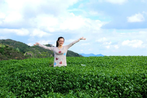 New Top Grade Tieguanyin Tea,Oolong,Tie Guan Yin Tea,Health Care Tea 250g