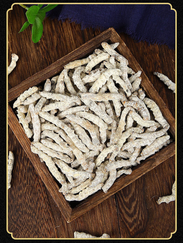 Stiffworms Chinese Herbal Medicine Stiffworms White Stiffworms 500g/1.1lb