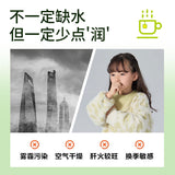 Individually Wrapped Floral Fruit Tea Bags Snow Pear Jasmine Flower Tea