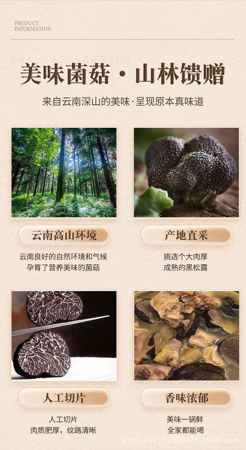 Comprimés de Truffe Noire Bio en Bouteille Comprimés Secs de Truffe Noire 50g