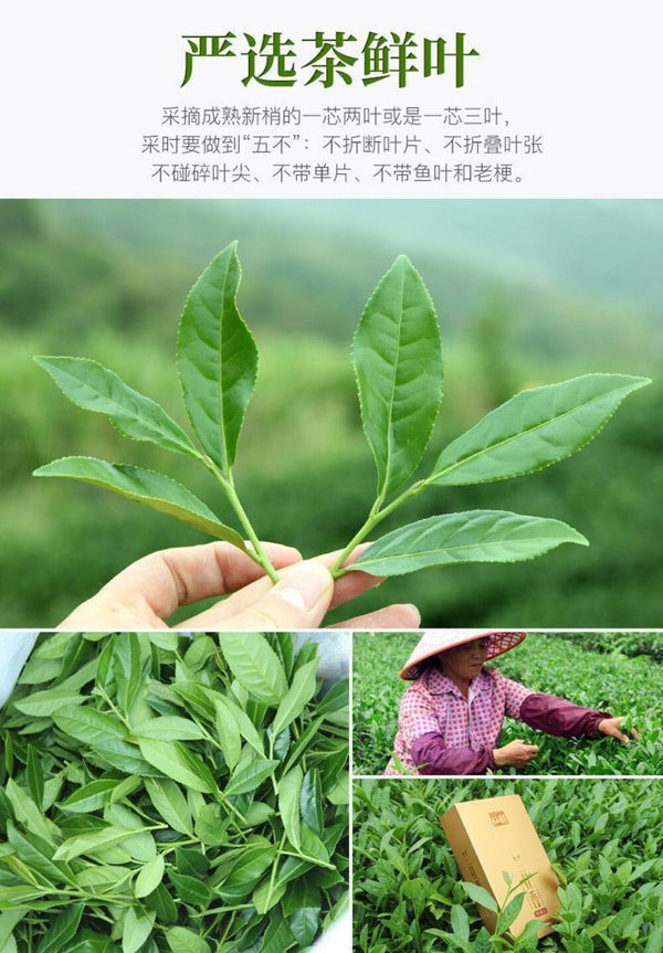 Anxi Tie Guan Yin Oolong Tea Jin Gaoshan Premium Authentic Traditional Craft