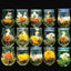 16 Flower Blooming Tea 130g Herbal Craft