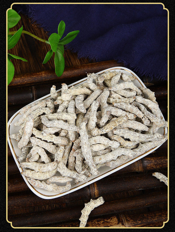 Stiffworms Chinese Herbal Medicine Stiffworms White Stiffworms 500g/1.1lb
