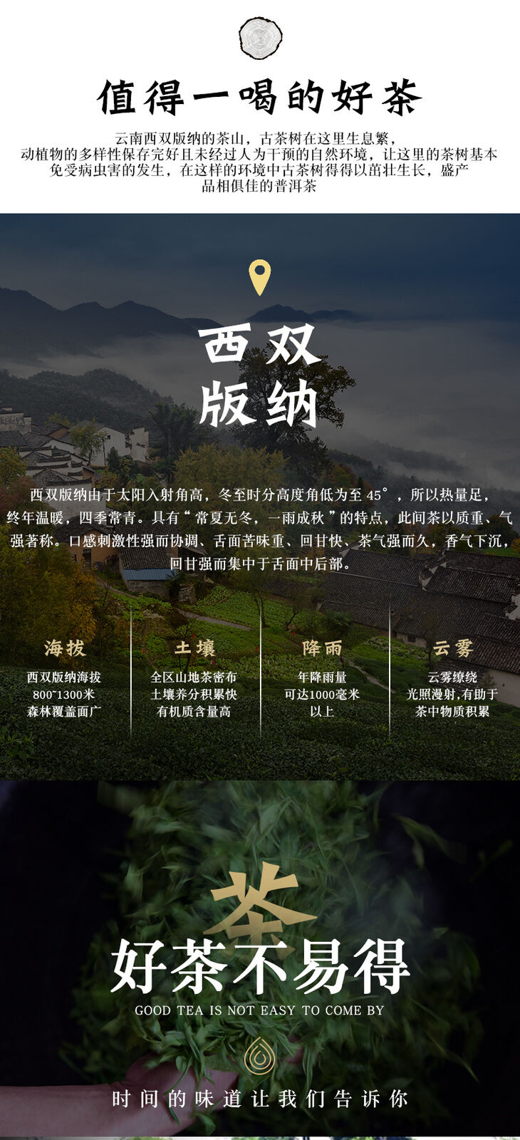 High Quality Yunnan Pu-erh Raw Tea 357g Raw Tea Cake Healthy Drink