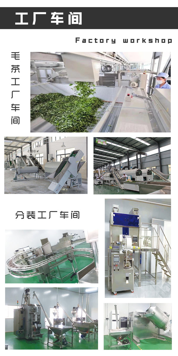 Premium Intensiver Weißer Pfirsich Oolong Tee OolongTee Zubereitung von Milchtee