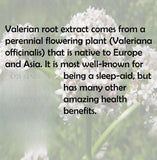 Valerian Root Extract Powder 10:1 Extract 17.6 oz. Sleep Aid Herbal Supplement