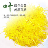 Organic Authentic Imperial Chrysanthemum Tea Fragrant Durable Brewing Flower Tea