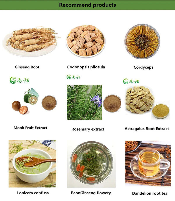 High Grade Yellow Chrysanthemum Flower Tea Xiao Huang Ju Chinese Herbal Tea