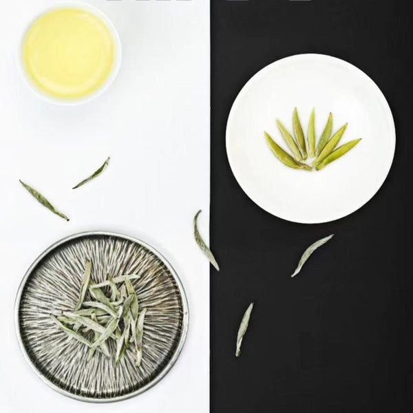 New Tea Authentic Alpine Bud Old White Tea Canned Premium White Tea 2024