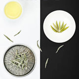 New Tea Authentic Alpine Bud Old White Tea Canned Premium White Tea 2024