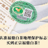 Authentic Fuding White Tea Taimushan Old White Tea Cake Shou Mei White Tea 357g