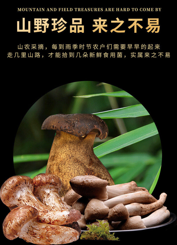 Yunnan Chicken Mushroom Sauce – Spicy Matsutake Blend