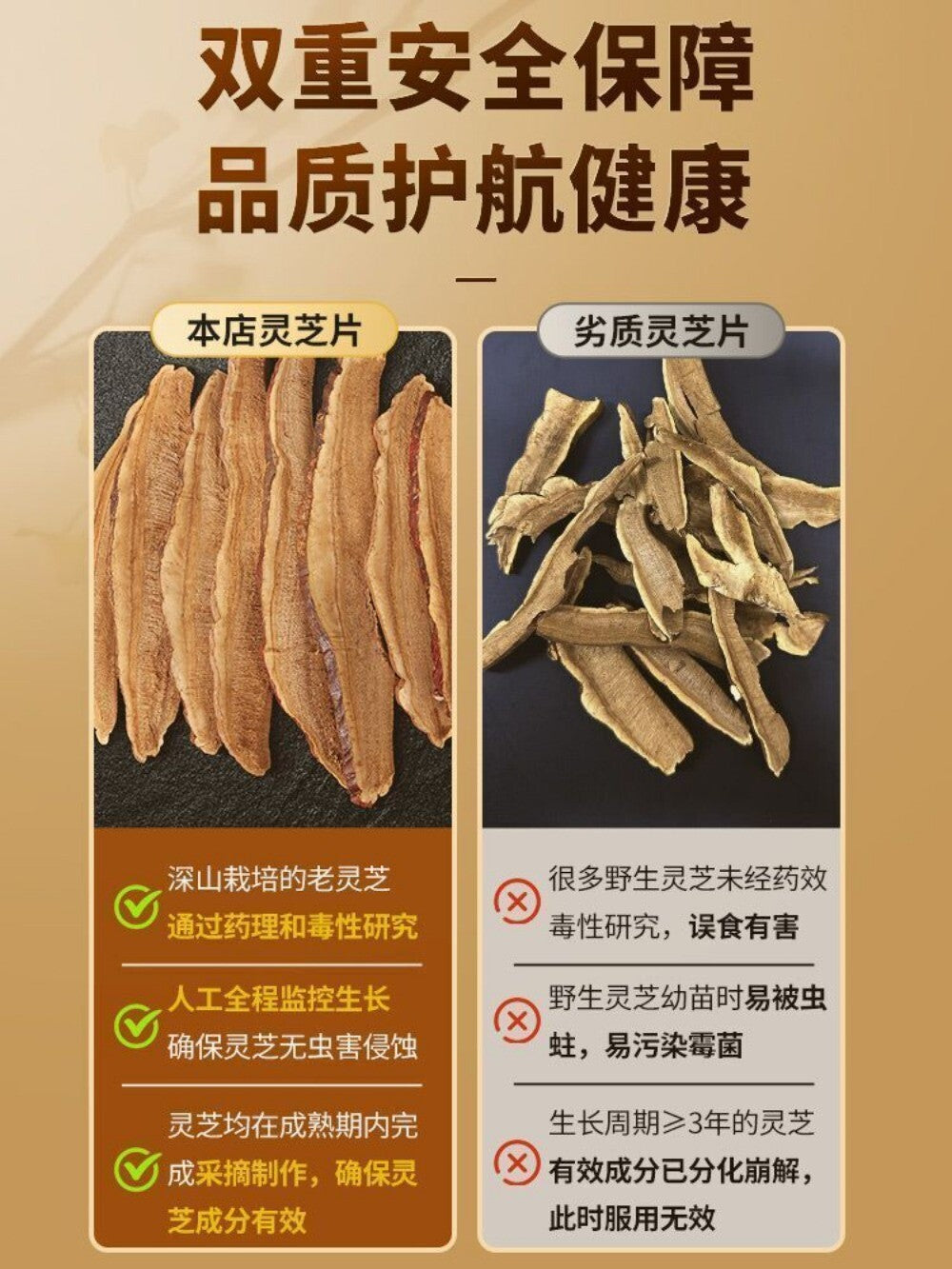Wild Changbai Mountain Red Reishi Slices 45g Pure Sulfur Free No Additives