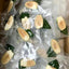 20pcs YOUNG BETEL NUTS Areca Catechu nut FREE PRIORITY SHIPPING