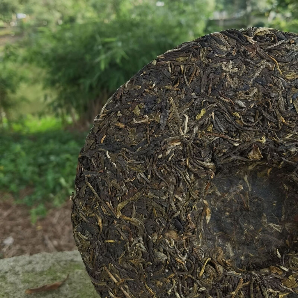 Yunnan Old Banzhang Old Tree Raw Puer 357g Raw Pu'er Tea Cake