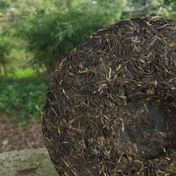 Yunnan Old Banzhang Old Tree Raw Puer 357g Raw Pu'er Tea Cake