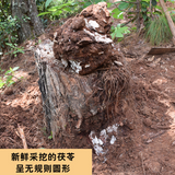 500g Genuine Poria Cocos Organic Herbbal Tea Used for Soup Porridge Health Care