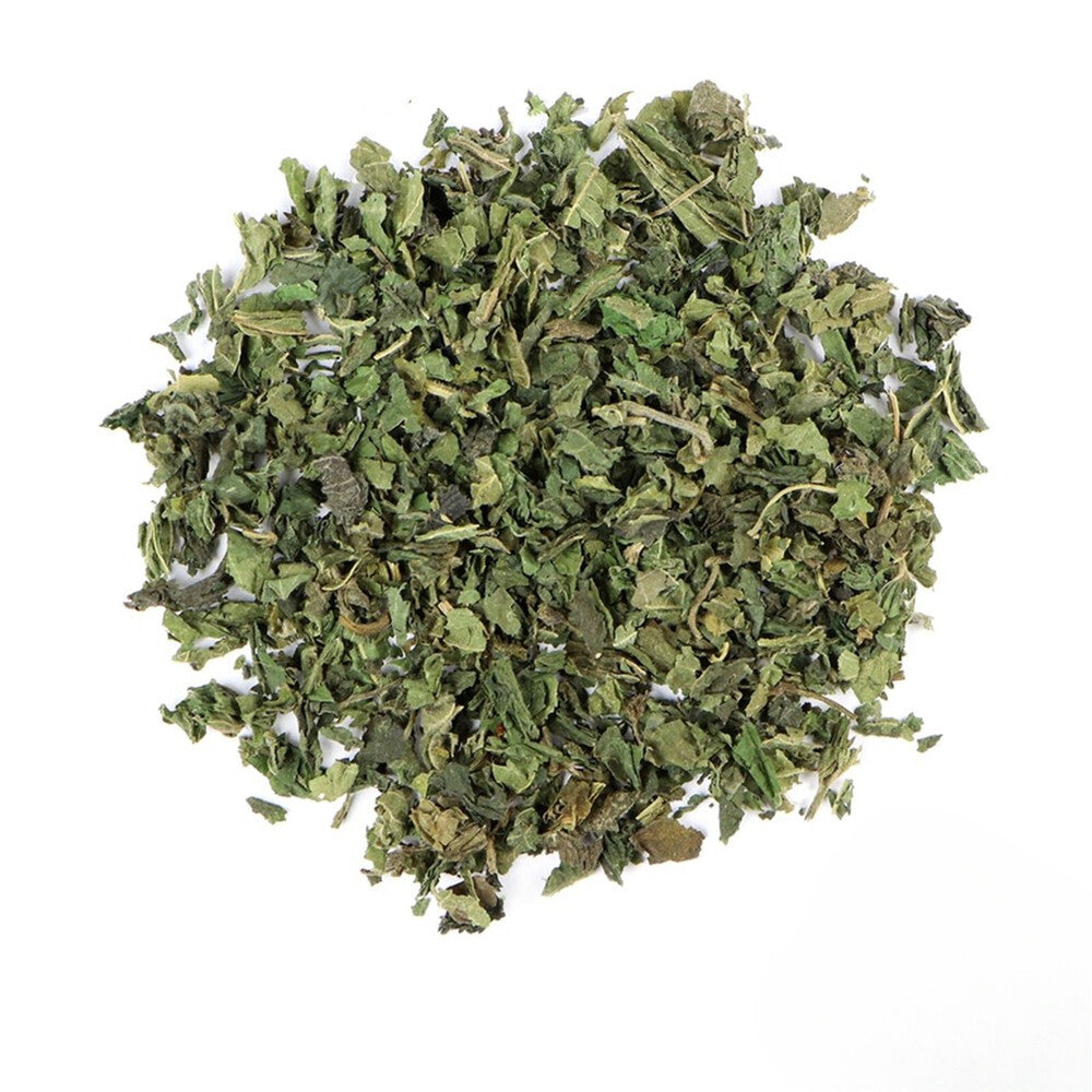 Stinging Nettle Leaf, c/s (Urtica dioica) Main image