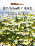 Chamomile Tea New Flower Herbal Chrysanthemum Cassia Seed Tea