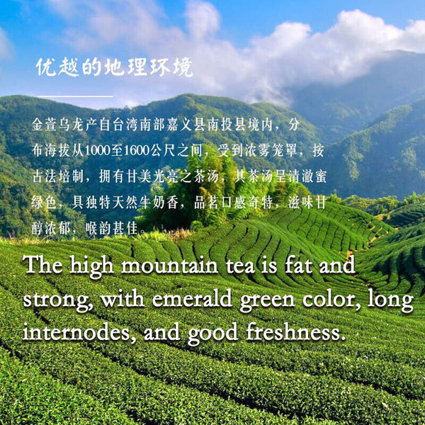 Taiwan Jinxuan Milk Wulong tea Premium  Oolong Tea  Milk Oolng Tea
