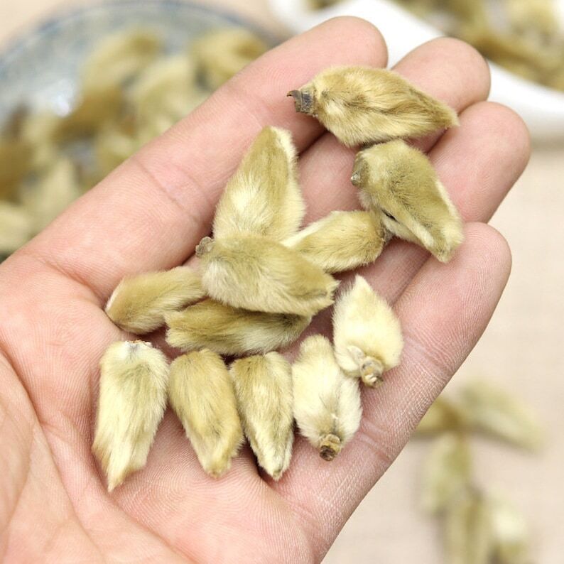 Xin Yi / Magnolia Flower Bud Xin Yi Hua 500g Bud of magnolia Denudata Desr.