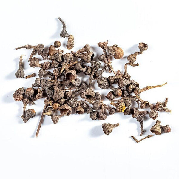 Dried Japanese cinnamon fruit, Fructus Cinnamomi Japonici, Fruit of Cinnamon