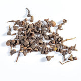 Dried Japanese cinnamon fruit, Fructus Cinnamomi Japonici, Fruit of Cinnamon